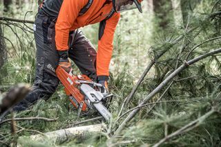 Can You Cut Wet Wood With a Chainsaw? 